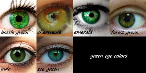 The hex codes can be found underneath each of the color swatches. GREEN EYES MEMES image memes at relatably.com