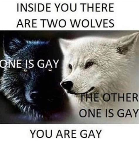 The Wolves Inside You Inside You There Are Two Wolves Know Your Meme