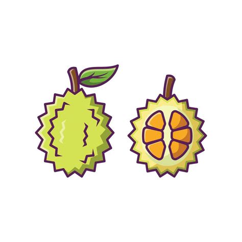 Durian Fruit Cartoon Vector Illustration Design Fruits Premium