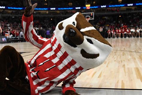 Wisconsin Mascot Tales Life As Bucky Badger From Pushups To Antics To