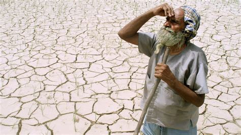 On Kisan Diwas Ruing Why Farmers Have Lost Their Political Power The