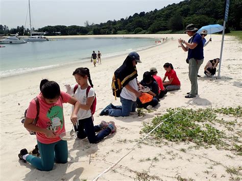 Celebrating Singapore Shores Volunteers Needed For Apr 2018 Marine