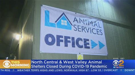 La Closes North Central West Valley Animal Shelters Youtube