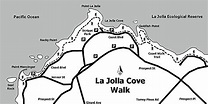 Best to wake up early for this La Jolla Cove walk | San Diego Reader