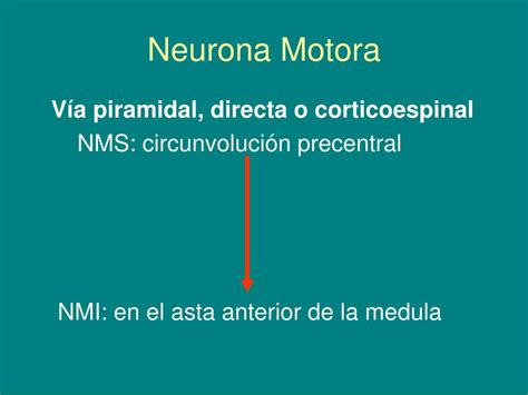 Ppt Neurona Motora Powerpoint Presentation Free Download Id6150706