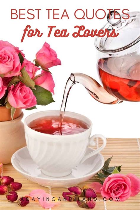 Best Tea Quotes For Tea Lovers A Day In Candiland