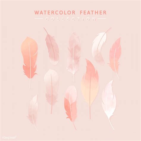 Download Premium Vector Of Pink Watercolor Lightweight Feather Collection