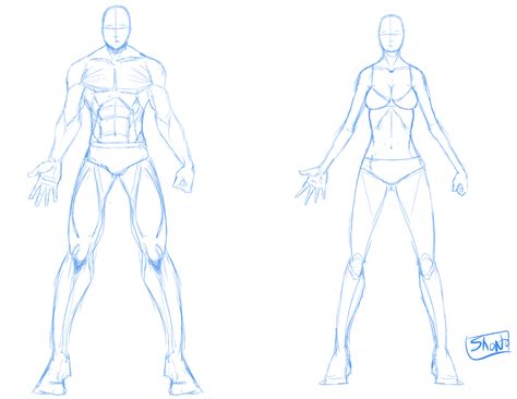 Online Course How To Draw Various Body Types And Proportions For