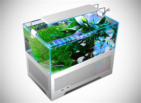 Metalfish Y2 Fish Tank Pc Case Doubles As A Fully Functional Aquarium