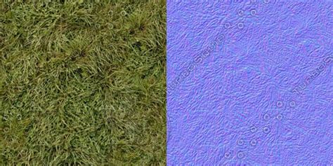 Texture Other Grass Normal Map