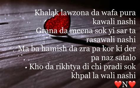 Pin By Gulsoom Shirzai On My King Pashto Quotes Baar Creative