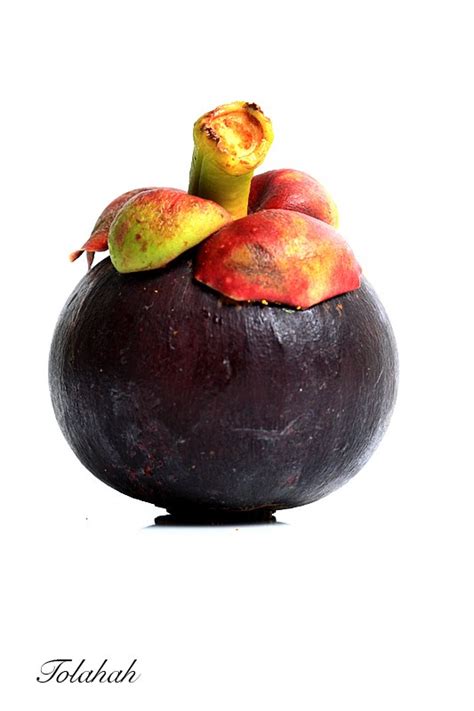 Buah manggis adalah salah satu jenis buah yang berasal dari indonesia. Rancangan Pengajaran KPD3016(Kbharu): Pengajaran Dan ...