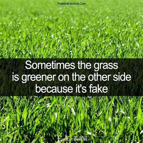 Why is the grass always seems to be greener? Sometimes the grass is greener on the other side - https://themindsjournal.com/sometimes-grass ...