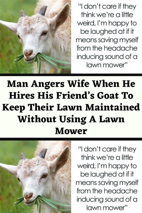 man pays his mate 20 bucks to bring his goat over so it can take care of his overgrown lawn