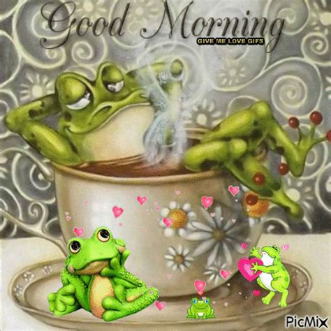 Good Morning Frog Pictures Frog Art Cute Frogs