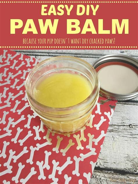 Dry Dog Paws Puppy Paws Cracked Paws Dogs Dog Paw Lotion Dog Treat
