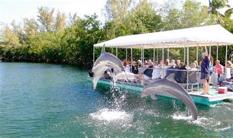 Best And Fun Things To Do In Islamorada Florida Traveladvo 2022