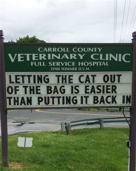 Funny Vet Clinic Sign Funny Cat Jokes Cat Puns Funny Cats Hilarious