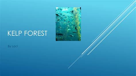 Ppt Kelp Forest Powerpoint Presentation Free Download Id5090104