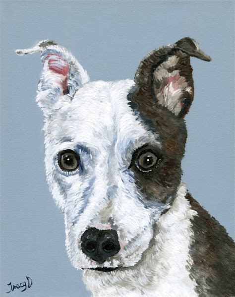 Hand Painted Custom Pet Portrait To Remember A Pet Commission Etsy