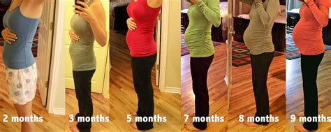 Baby Bump Tracker 2 Months Pregnant Belly Pregnant Belly 2 Months