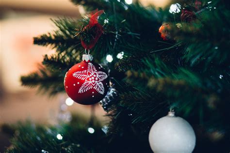 Close Up Of Christmas Tree · Free Stock Photo