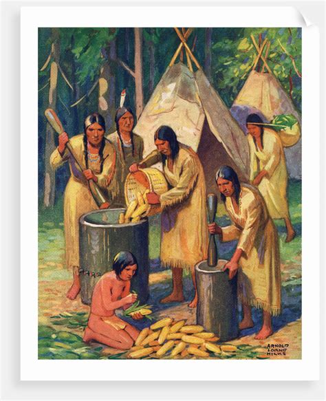 Illustration Of Native Americans Preparing Corn Posters And Prints By