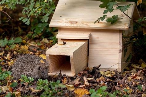 Eight Of The Best Hedgehog Houses For Your Garden In 2023
