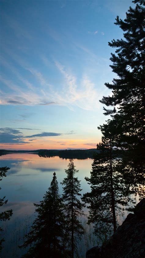 Download Wallpaper 938x1668 Trees Silhouettes Lake Twilight