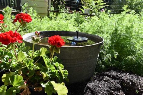 See more ideas about outdoor gardens, diy fountain, bird bath. DIY Solar Fountain Hummingbird Bath | Diy solar fountain ...