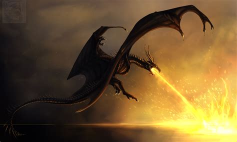 Dragon Burning Flames Hd Artist 4k Wallpapers Images Backgrounds