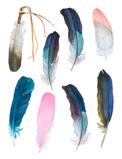 Premium Photo Watercolor Beautiful Feathers On White