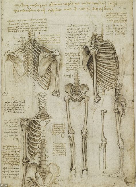 Leonardo's drawing of the vitruvian man was created in 1490. 1000+ images about Drawing: Anatomy on Pinterest