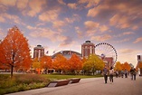 HalloWheel at Navy Pier | The Magnificent Mile