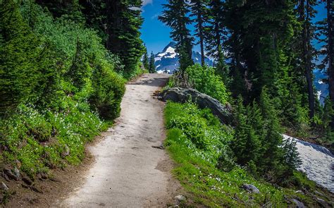 Mountain Path In Summer Photograph By Zen Williston