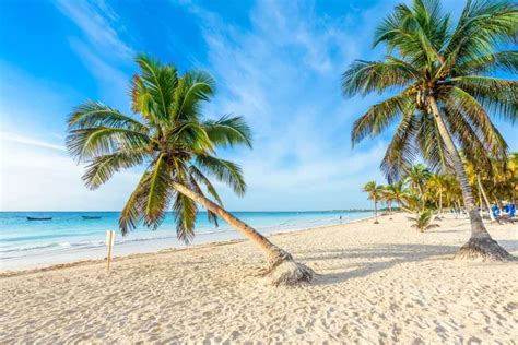 Mejores Playas Tulum ¡como Estar En El Paraíso Info Quintana Roo