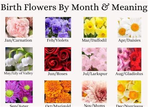 Birth Flowers By Month And Meaning