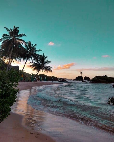 Tambaba Conhe A A Mais Bela Praia De Naturismo Do Nordeste Brasileiro Viajali Orlando Surf