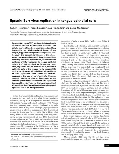 Pdf Epstein Barr Virus Replication In Tongue Epithelial Cells