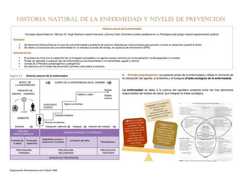 Historia Natural De La Enfermedad Y Niveles De Prevenci N Sireedico Udocz