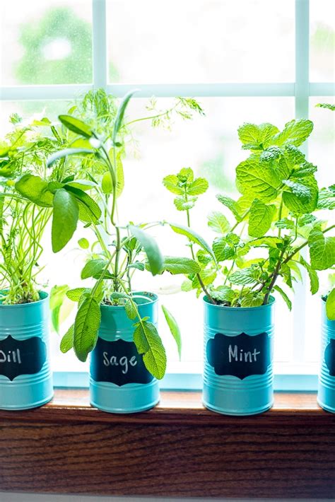 How To Make An Indoor Window Sill Herb Garden The Gracious Wife