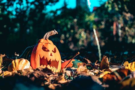 Spooky Halloween Idioms For The Scariest Season Of The Year Language