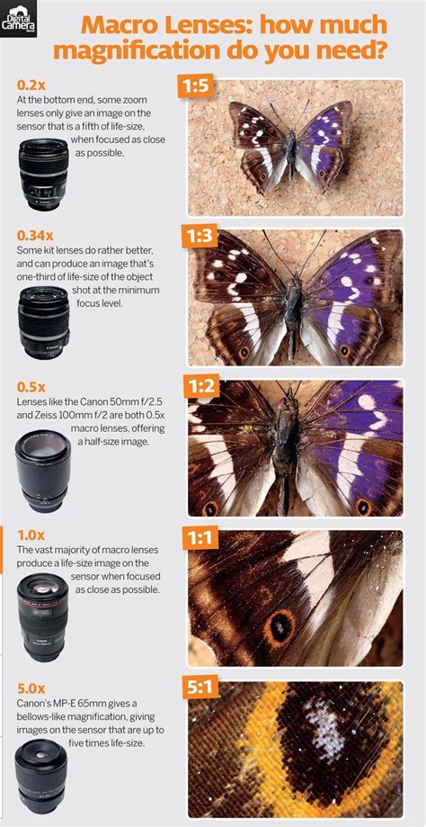 What Is A Macro Lens Magnification And Minimum Focus Distance