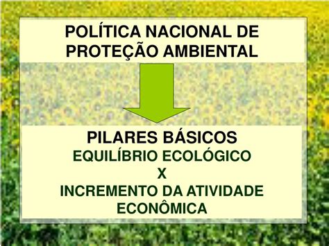 Existem Instrumentos Instituídos Pela Política Nacional De Meio Ambiente