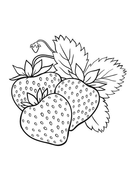 Strawberries Printable For Kids Coloring Page Download Print Or
