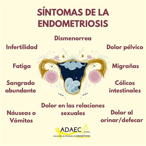 conociendo a una desconocida la endometriosis diario sanitario