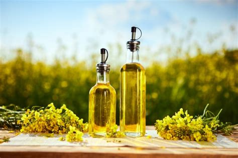 Why Cooking Canola Oil Is Beneficial For Your Health