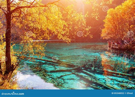 Beautiful View Of The Five Flower Lake Multicolored Lake Stock Photo