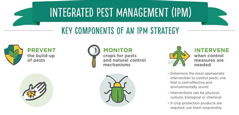 What Is Integrated Pest Management IPM Bay Area Facility Services