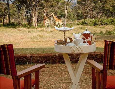 Top 5 Nairobi Lodges Luxury Safari Company
